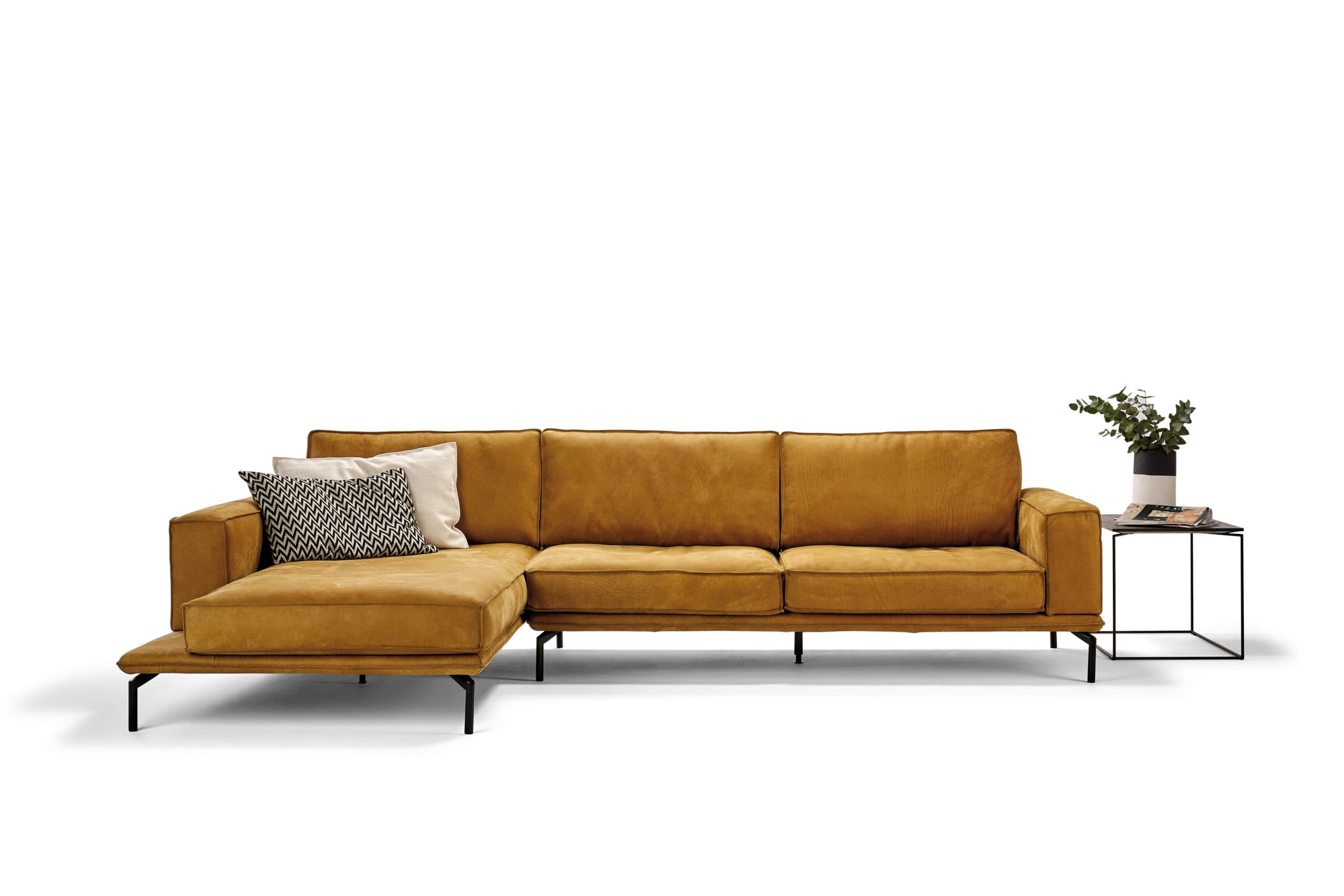 Bullfrog Design brand gallery
